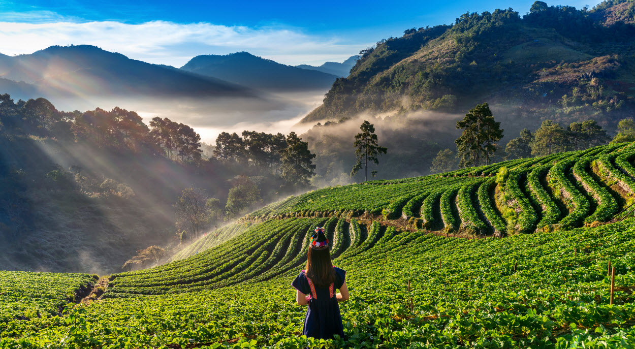 สำนักงานพาณิชย์จังหวัดเชียงราย